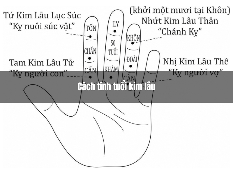 cach tinh tuoi kim lau