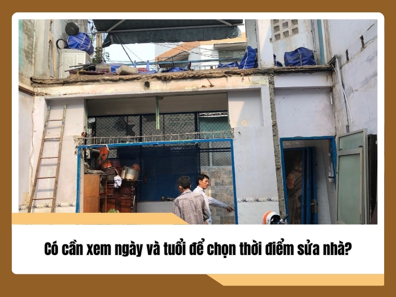 co can xem ngay va tuoi de chon thoi diem sua nha